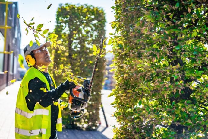 parkingonderhoud - snoeien - heggenschaar - veilig werken - Green Masters - Multi Masters Group